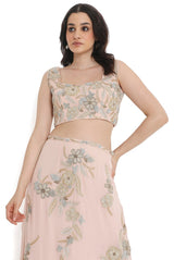 Blush Pink Embroidered Choli With Embroidered Skirt