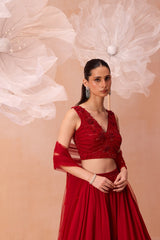 Scalet Dream Lehenga Set