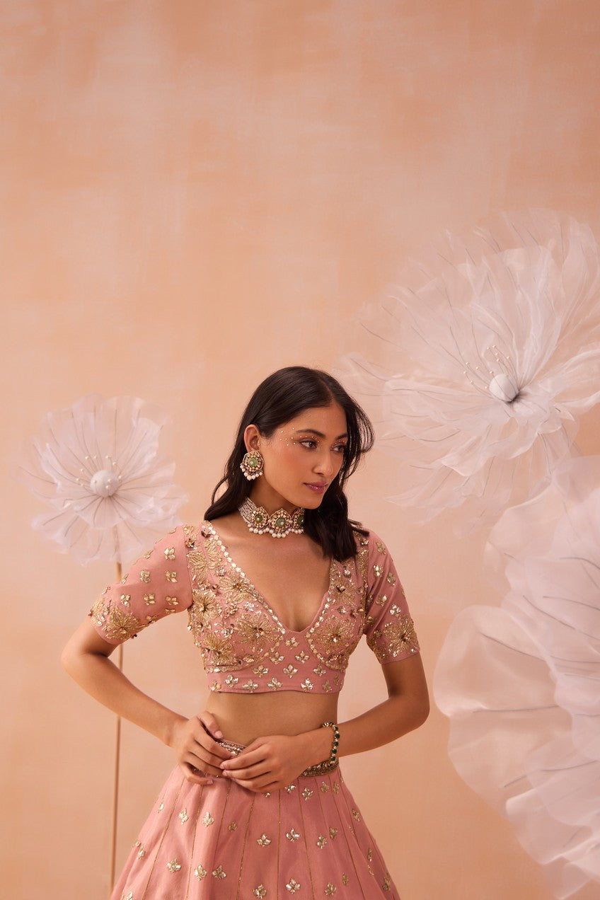 Blush Lehenga Set