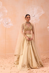 Sarine Lehanga Set