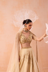 Sarine Lehanga Set
