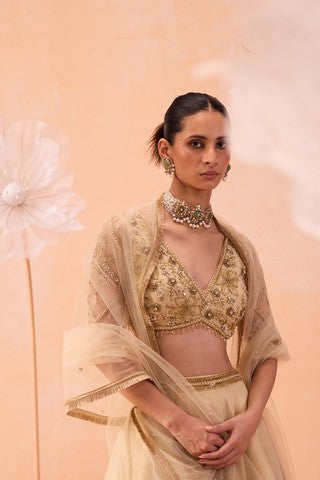 Sarine Lehanga Set