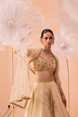 Sarine Lehanga Set
