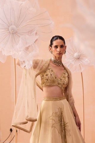 Sarine Lehanga Set