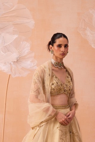 Sarine Lehanga Set