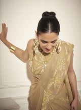 Applique draped Saree, Embroidered Blouse