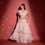 Pre- draped Saree + Blouse