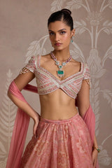 Flare Lehenga Set