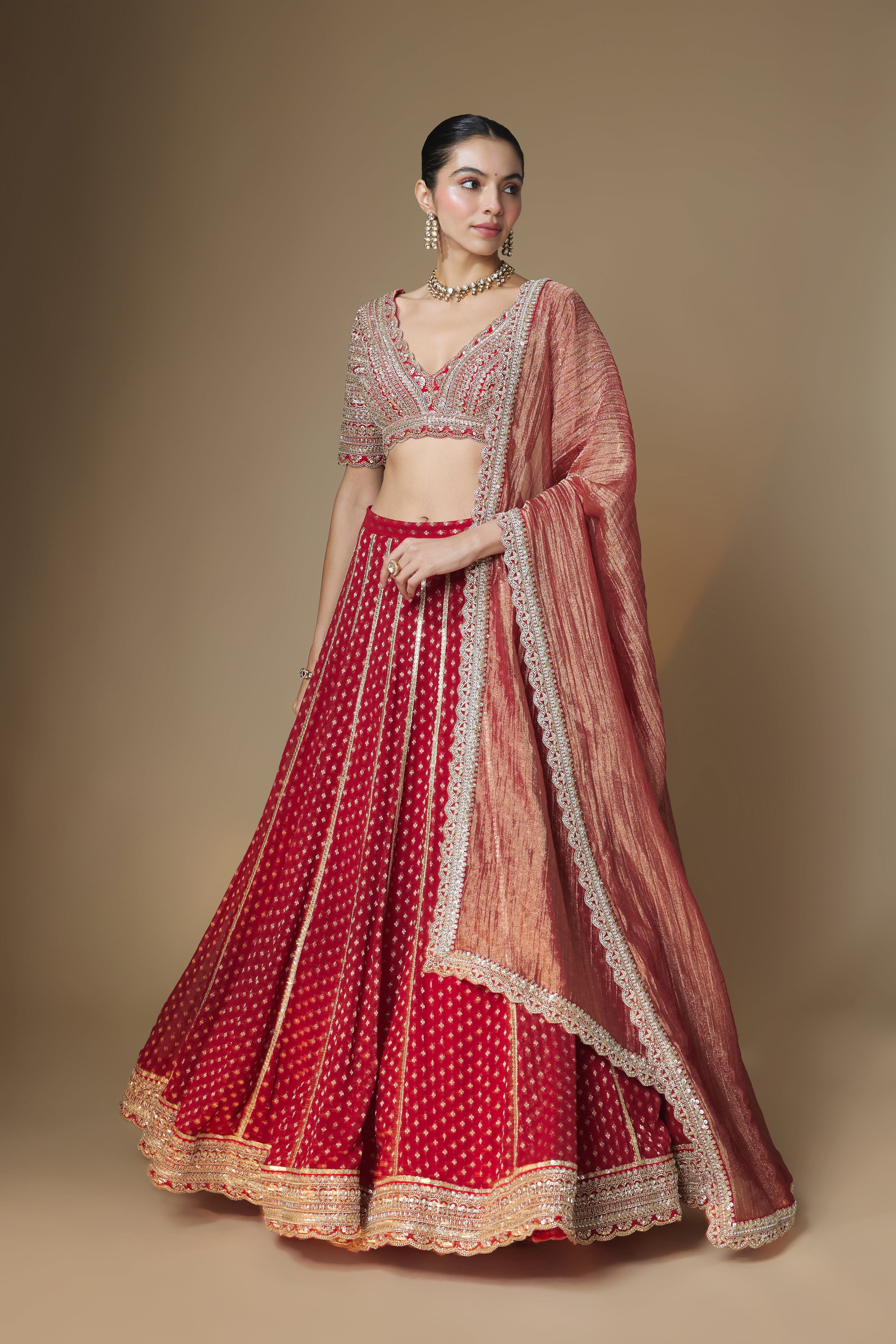 Red benarasi lehenga and embroidered blouse set
