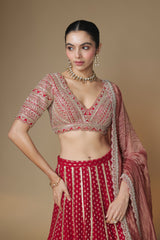 Red benarasi lehenga and embroidered blouse set
