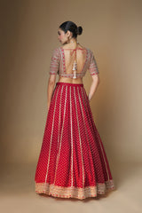 Red benarasi lehenga and embroidered blouse set