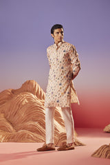 Circus Flair - Silk Kurta