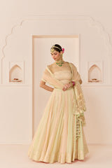 UMAIZA - CARNATION PINK LEHENGA WITH BLOUSE AND DUPATTA
