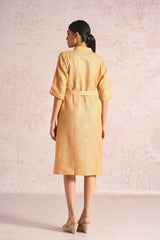 Shimmer Strings Kyra Dress