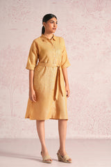 Shimmer Strings Kyra Dress