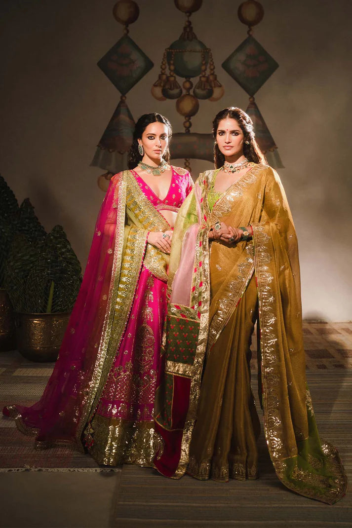 The Son Barfi Saree