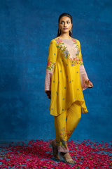 BAGHIRA APPIQUED KURTA SET
