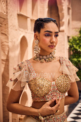 Ivory Tissue Lehenga Set