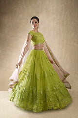 Starflower lehenga set