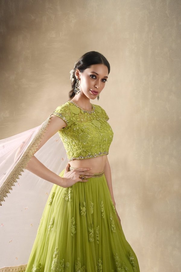 Starflower lehenga set