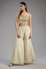 Ivory tissue dori hand embroidery sharara set