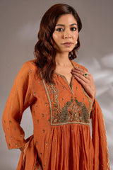 Anarkali in mul chanderi base with hand embroidery.