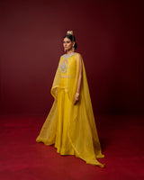 Savitri Co-ord Set