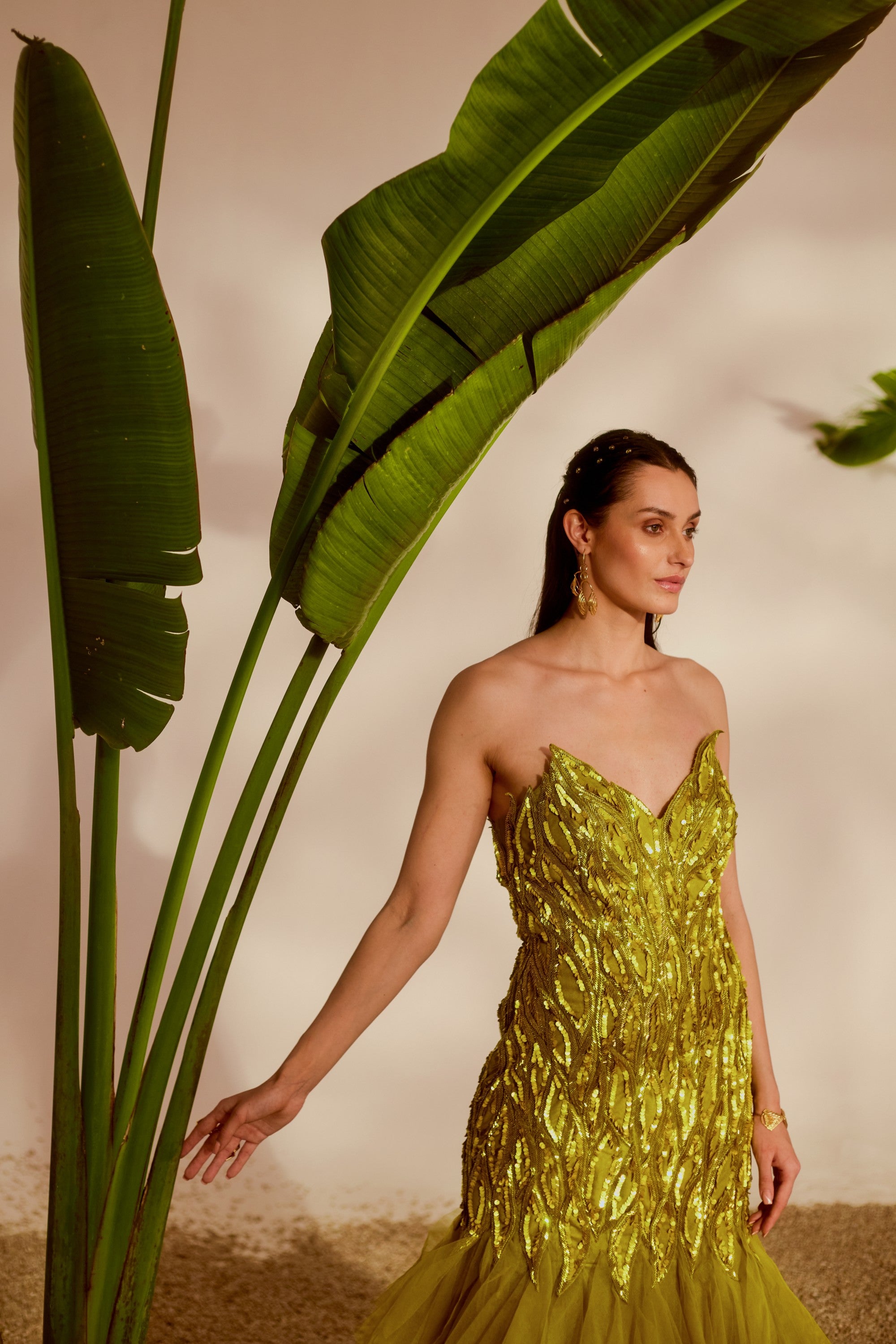 Fauna Appliqué Gown