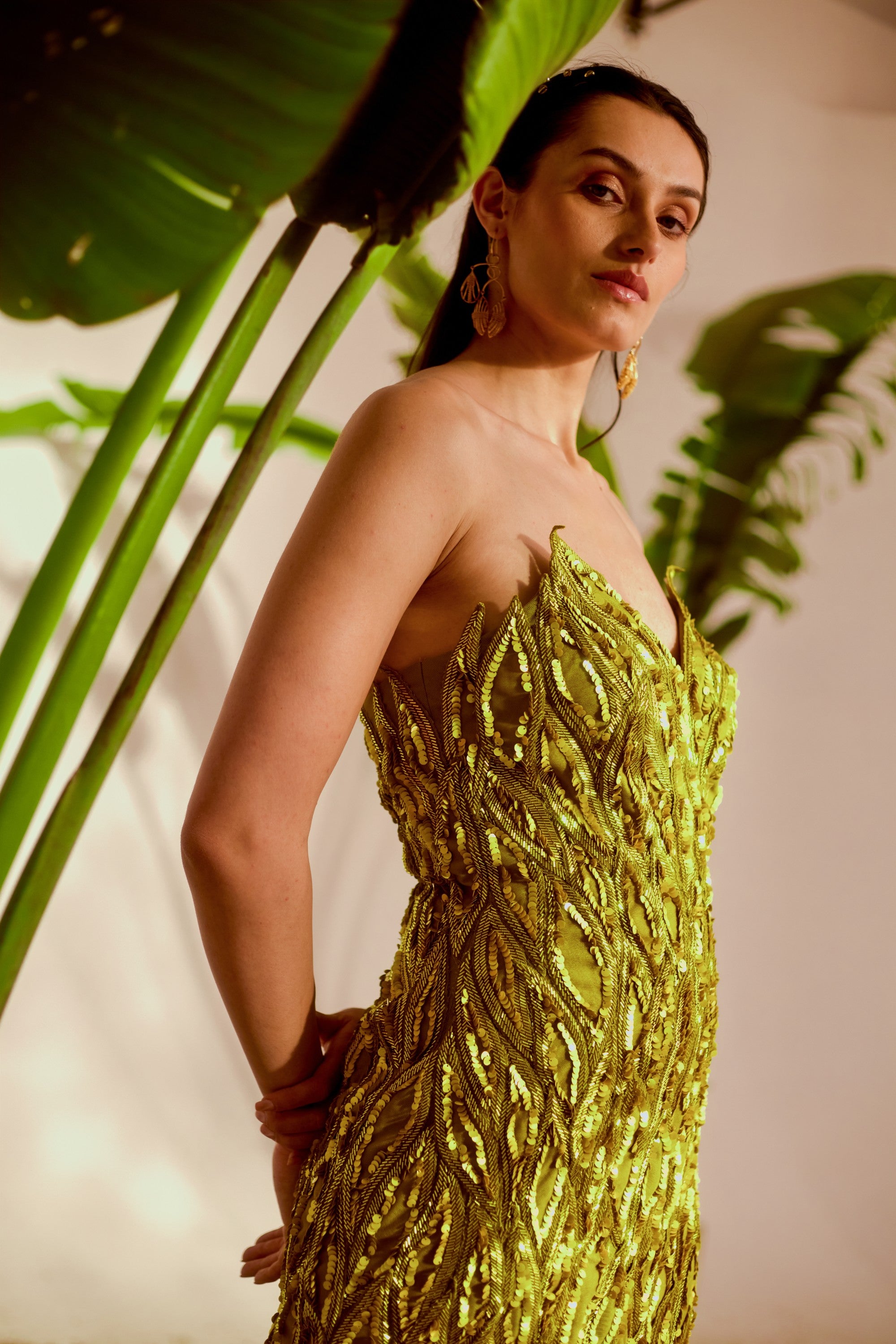 Fauna Appliqué Gown