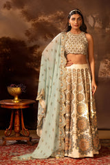 Eraya Embroidered Lehenga Set