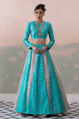 Raw Silk Buty Lehenga with Zari Silver Crushed Tissue Underskirt & Blouse