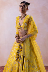 Raw Silk Palm Tree Jaal Lehenga with Zari Crushed Tissue Fringes & Organza Dupatta