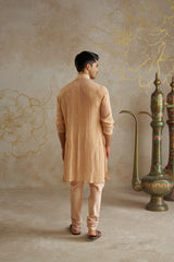 Blush Tissue Kurta Set