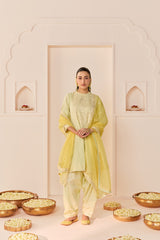 NIDA - MINT GREEN SHORT CHOGA WITH FARSHI SALWAR AND DUPATTA