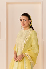 NIDA - MINT GREEN SHORT CHOGA WITH FARSHI SALWAR AND DUPATTA