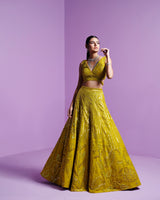 Lime spectrum lehenga set