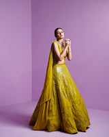 Lime spectrum lehenga set