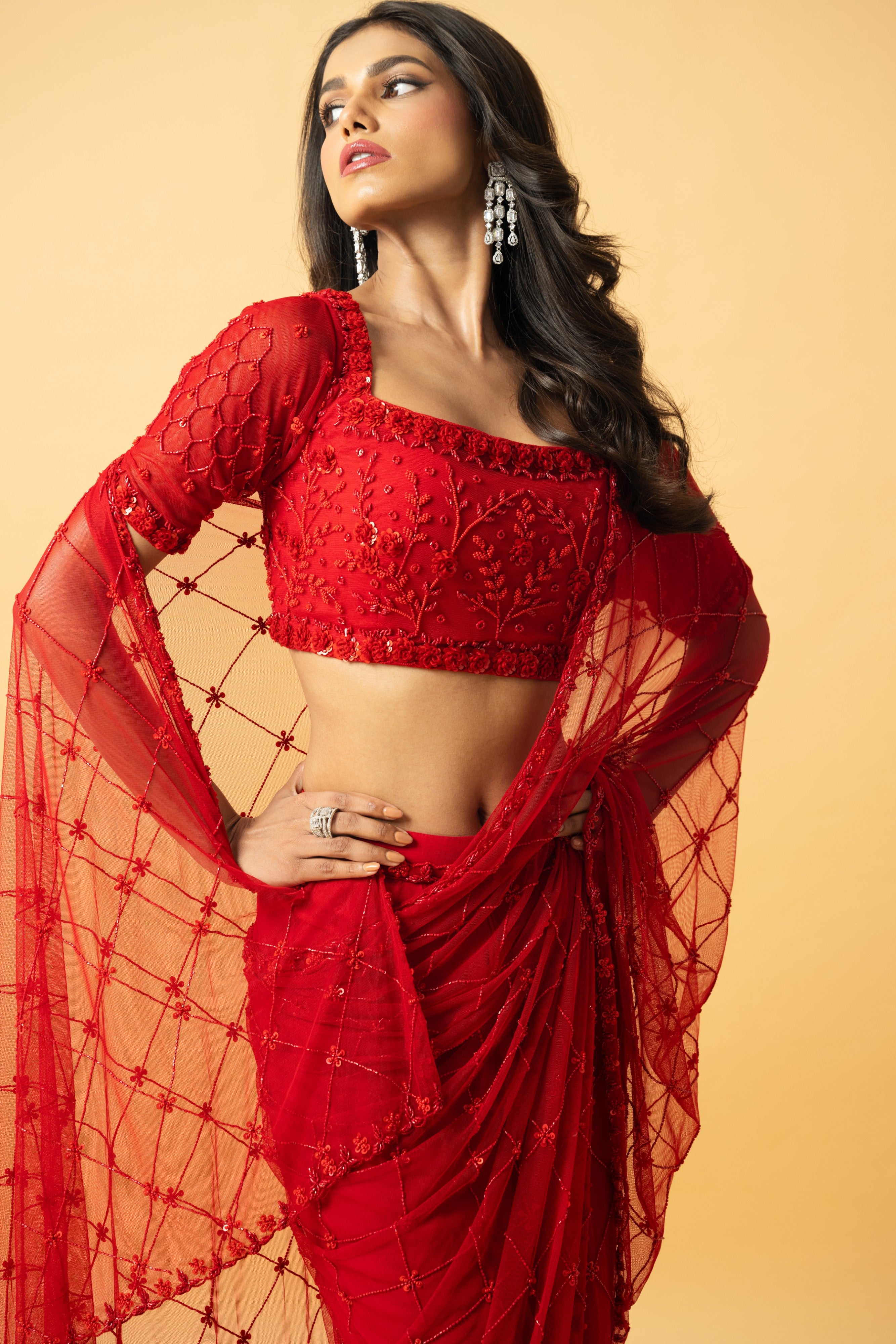 Red Soft Net Georgette Saree with Intricate Hand Embroidery