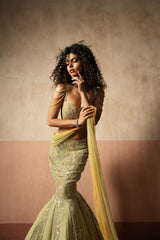 Fishtail style , sage green & pastel yellow hand embroidered , net &georgette fishtail saree, concept saree