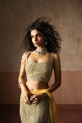 Fishtail style , sage green & pastel yellow hand embroidered , net &georgette fishtail saree, concept saree
