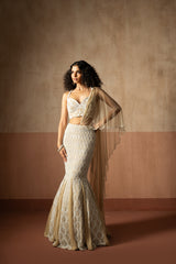 Fishtail style , beige & ivory hand embroidered , net &georgette fishtail saree, concept saree
