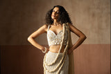 Fishtail style , beige & ivory hand embroidered , net &georgette fishtail saree, concept saree