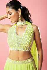 Lime Green Embroidered Lehenga