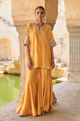 Aabha Co-ord Set
