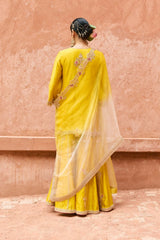 Rohini Sharara Set