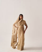 Saree with Stitched Blouse and Belt / Organza Silk / Dark Beige / Paisley Dome / Aari/Hand Embroidery