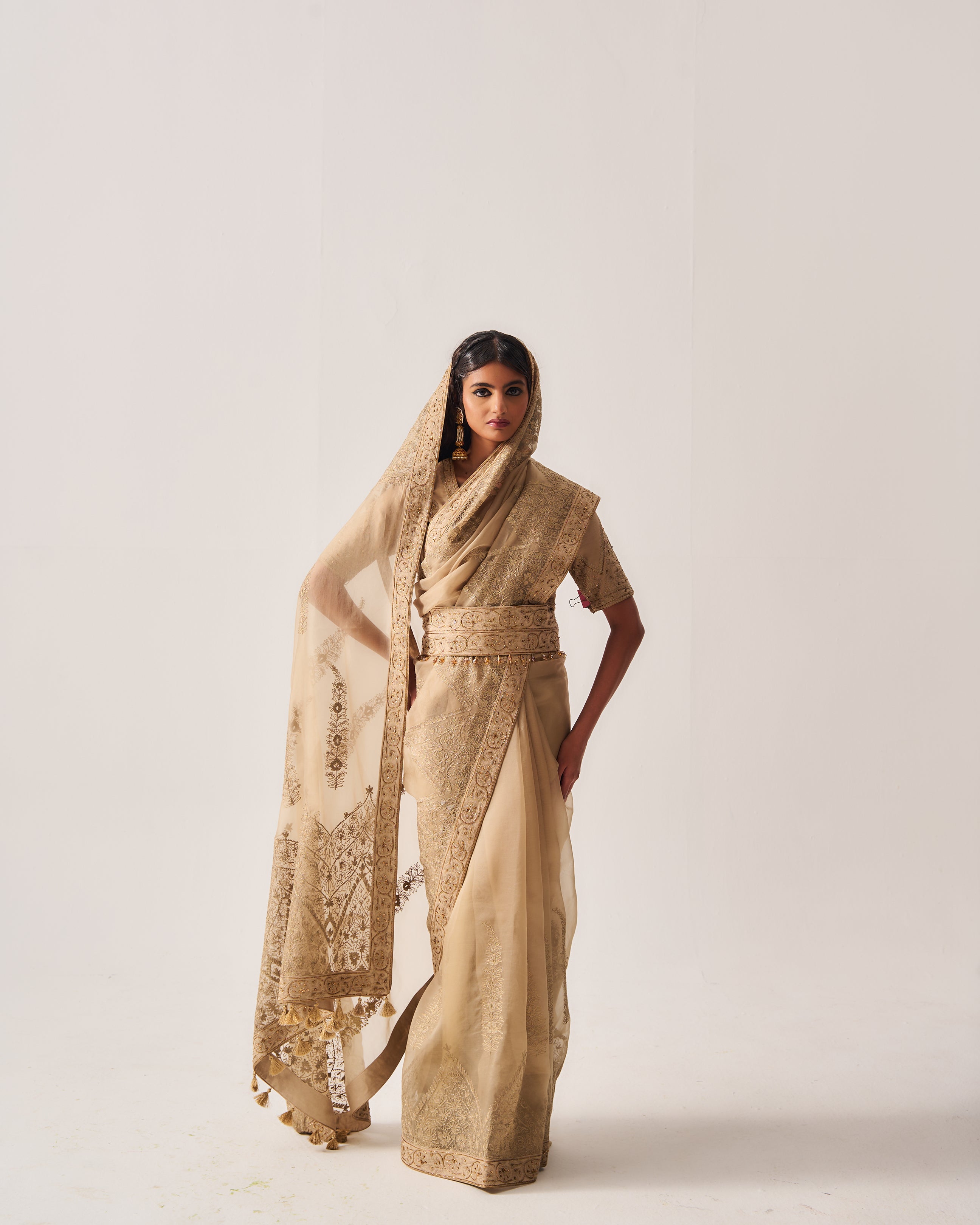 Saree with Stitched Blouse and Belt / Organza Silk / Dark Beige / Paisley Dome / Aari/Hand Embroidery