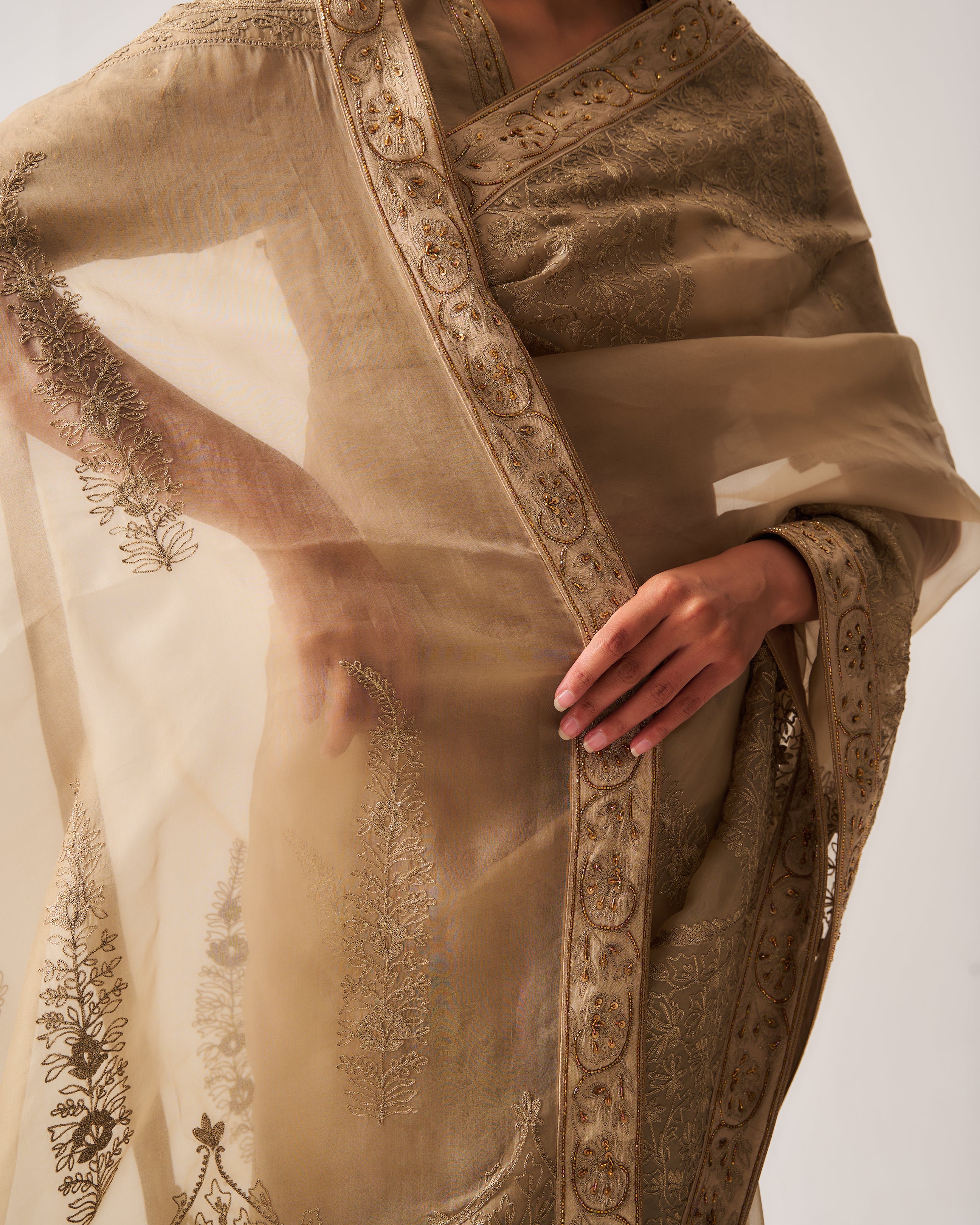 Saree with Stitched Blouse and Belt / Organza Silk / Dark Beige / Paisley Dome / Aari/Hand Embroidery