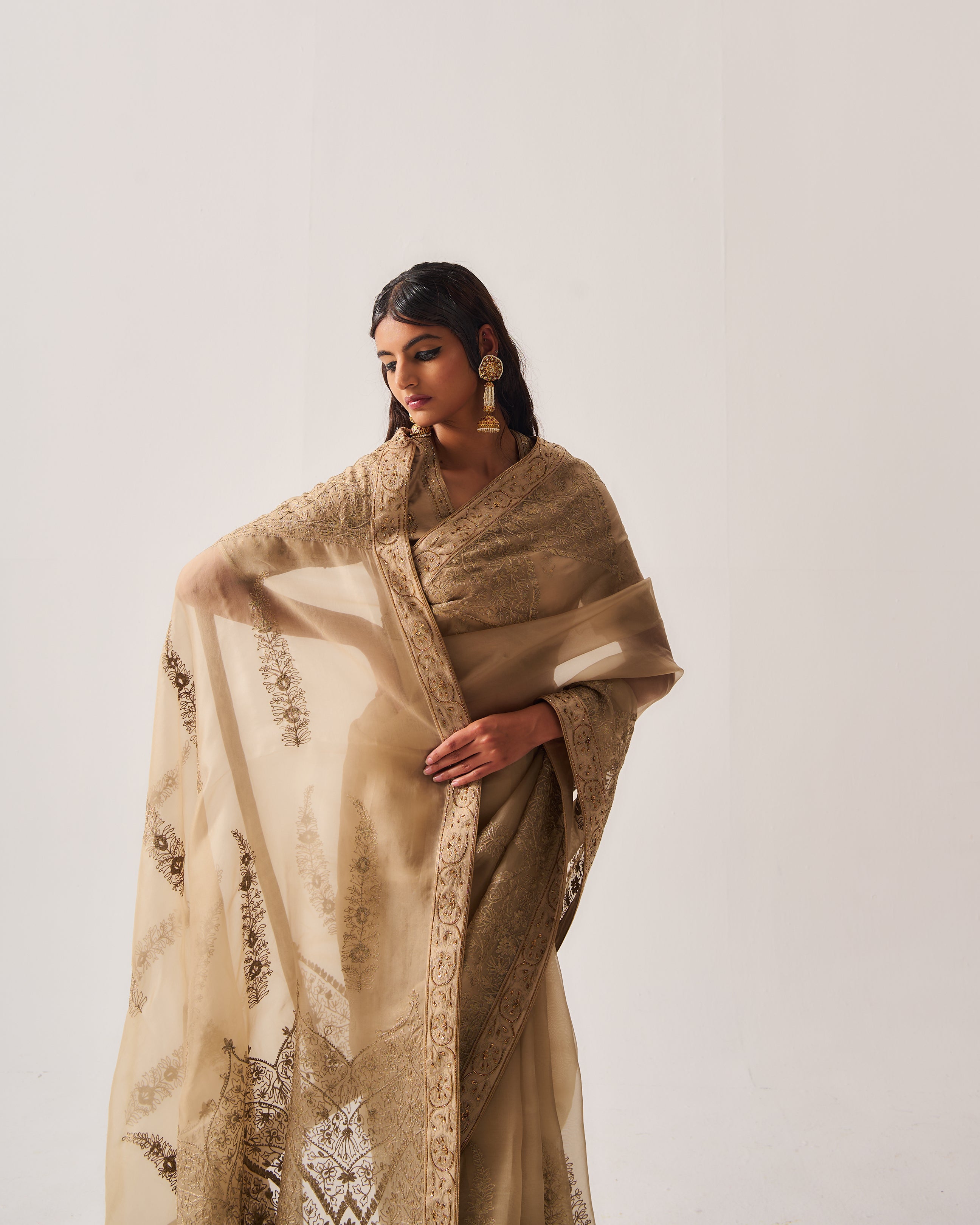 Saree with Stitched Blouse and Belt / Organza Silk / Dark Beige / Paisley Dome / Aari/Hand Embroidery