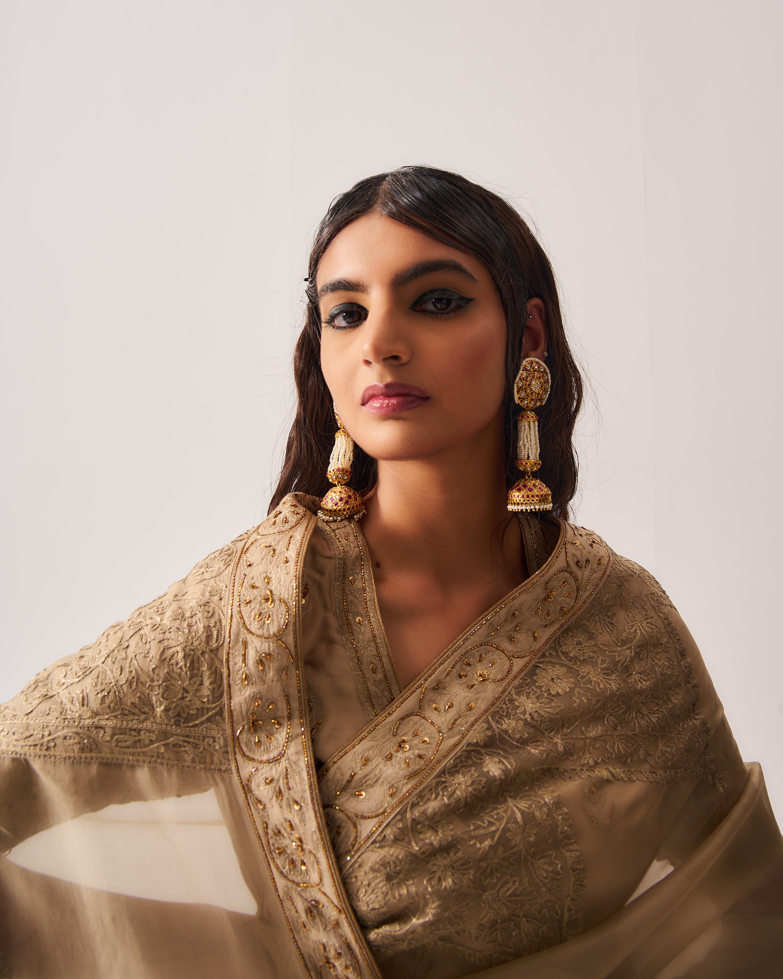 Saree with Stitched Blouse and Belt / Organza Silk / Dark Beige / Paisley Dome / Aari/Hand Embroidery